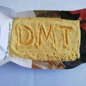 dmt-online