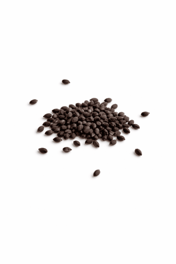 Salvia Divinorum Seeds