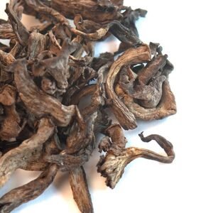 Buy Black Trumpet Mushrooms online