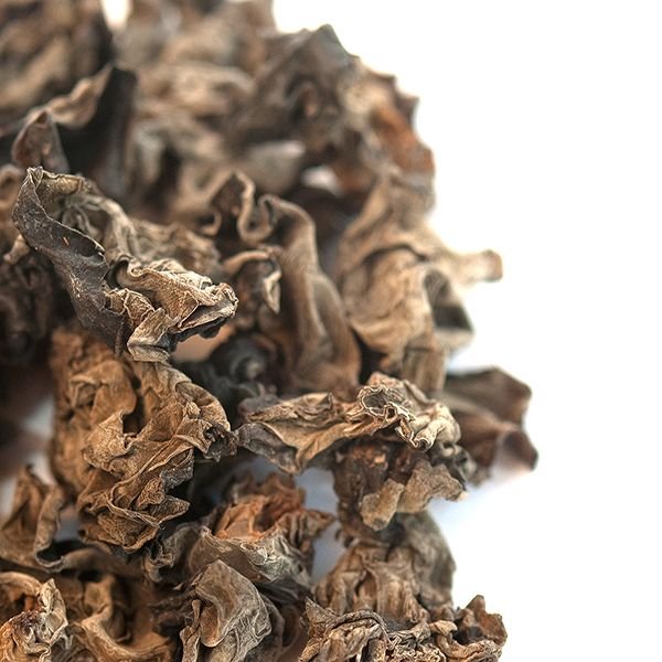 buy Cloud ear mushrooms online