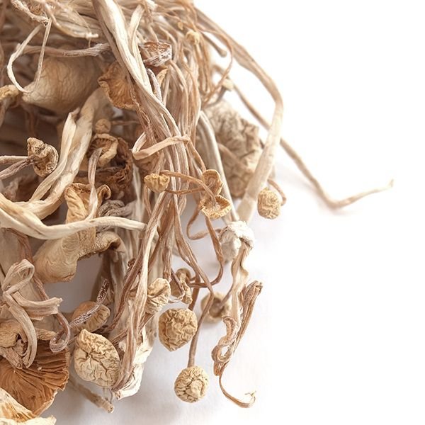 buy Enoki Mushrooms online