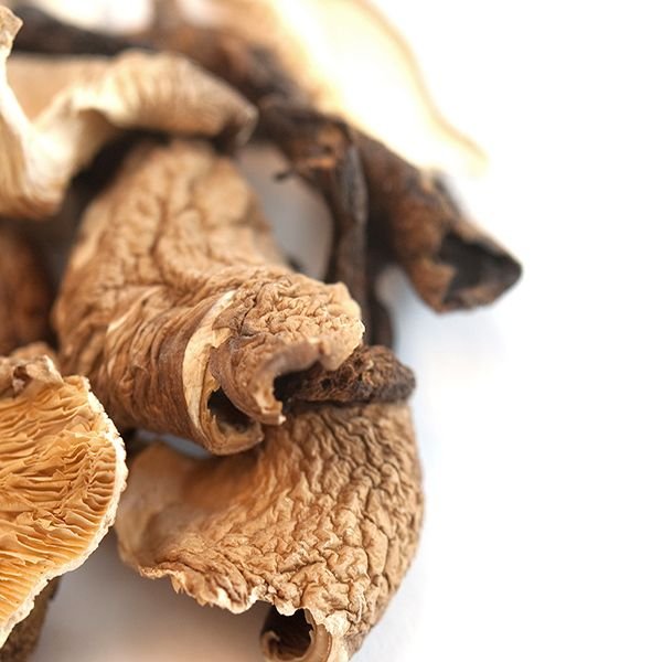 buy Native Forest Organic Mushrooms online