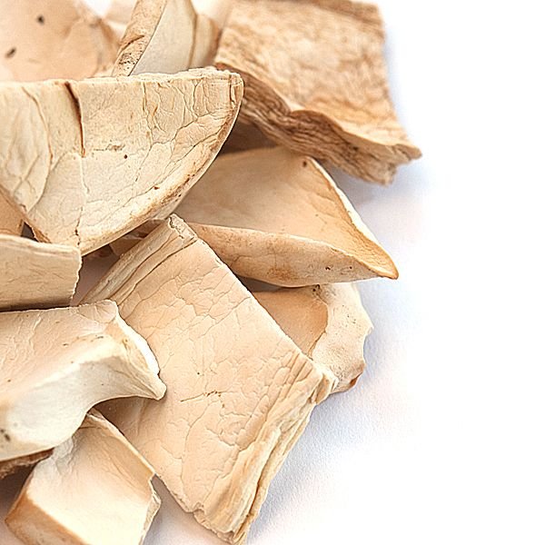 King Trumpet Mushrooms buy King Trumpet Mushrooms online