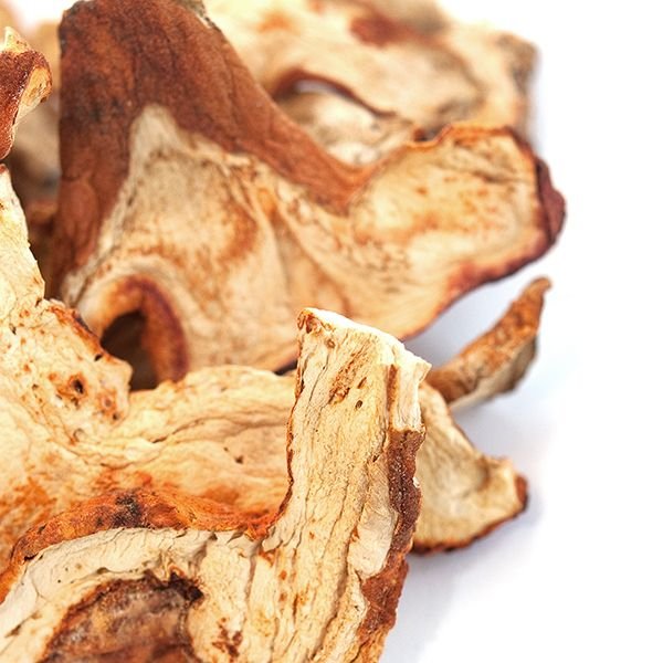 buy Dried Lobster Mushrooms online